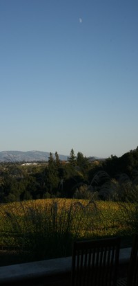 Moon over Fog Crest Vineyard - Sonoma California