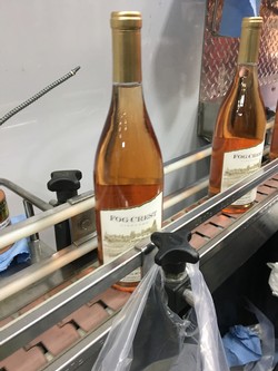 Bottling Rosé