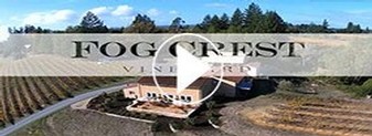 Experience the Tasting Room video