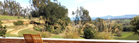 View of the Laguna from the tasting room patio