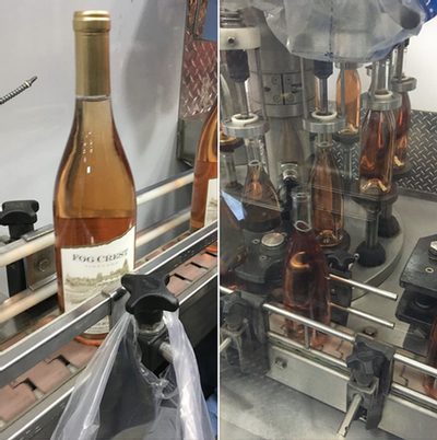 Rosé bottling day Fog Crest Vineyard